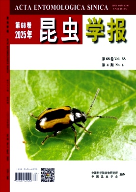 xW(xu)(bo)