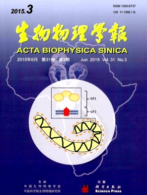 W(xu)(bo)